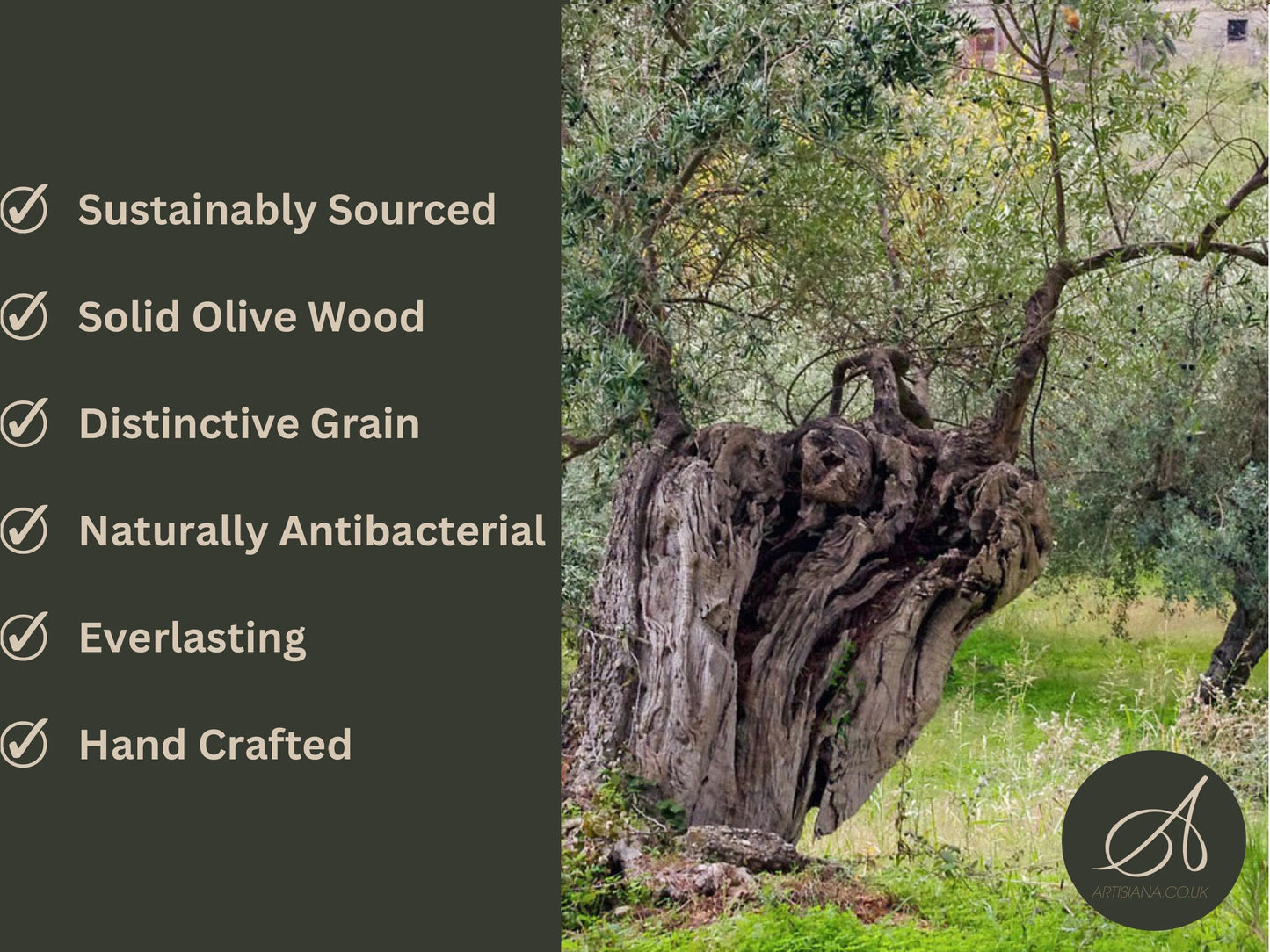 Medium Rustic Olive Wood Ceramic Tray 15 cm