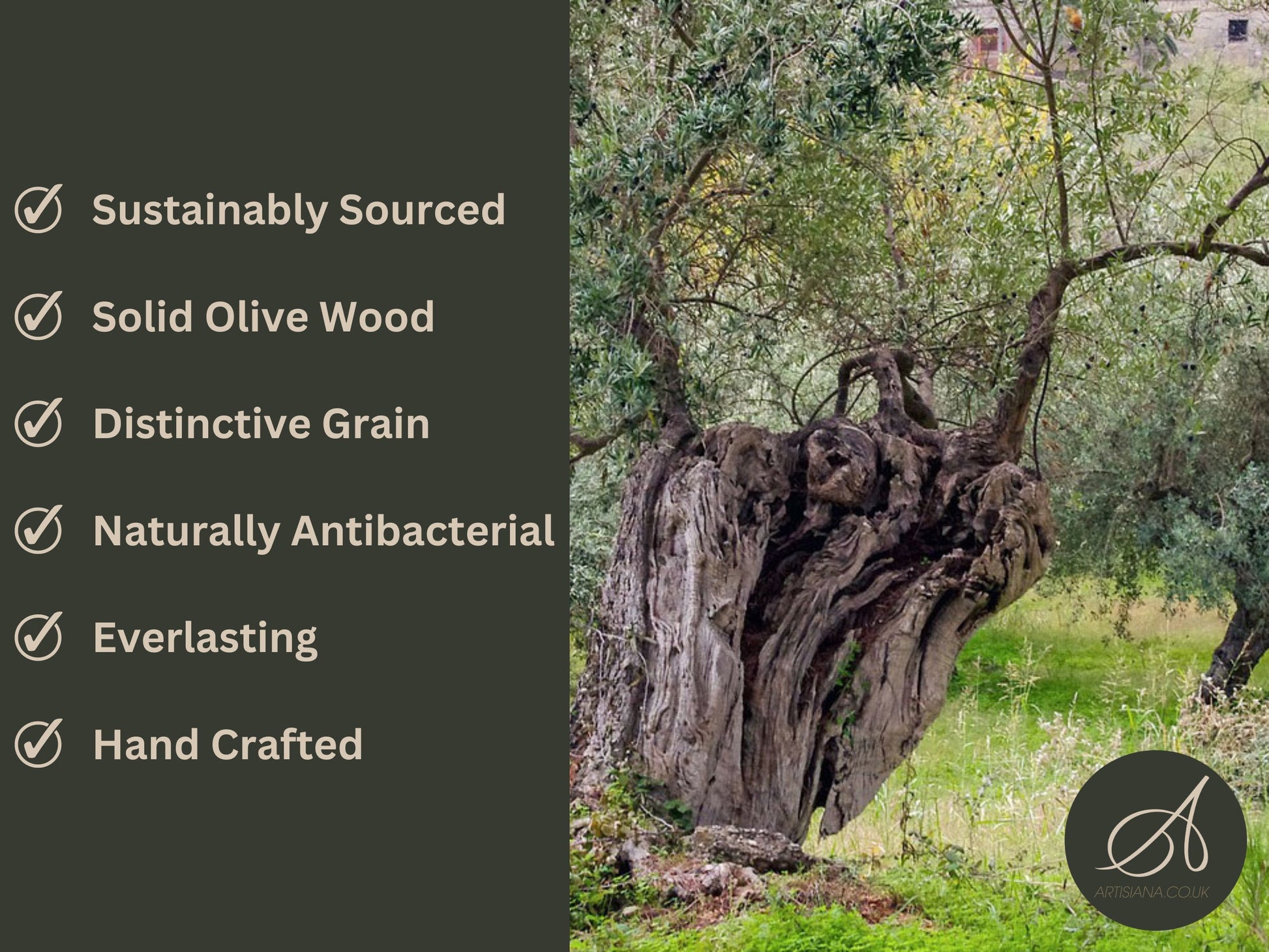 Olive Wood End Grain Chopping/Cutting Board | Large Heavy Rectangular Charcuterie W/ Drip Catching Groove | Various Sizes